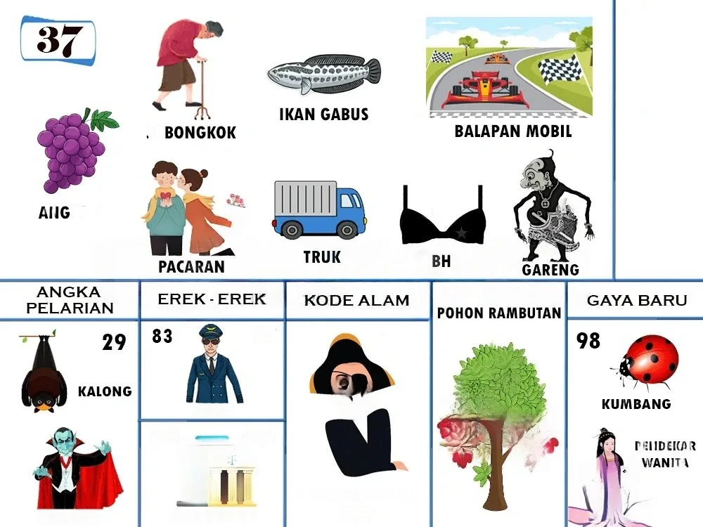 buku mimpi erek erek togel 37
